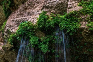 Fotoğraf Misol Ha şelalelerinde çekildi.