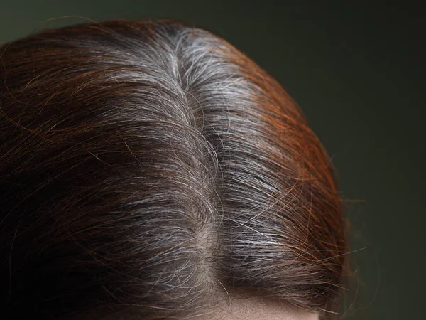 Голова Женщины Волосами Окрашенными Хной — стоковое фото