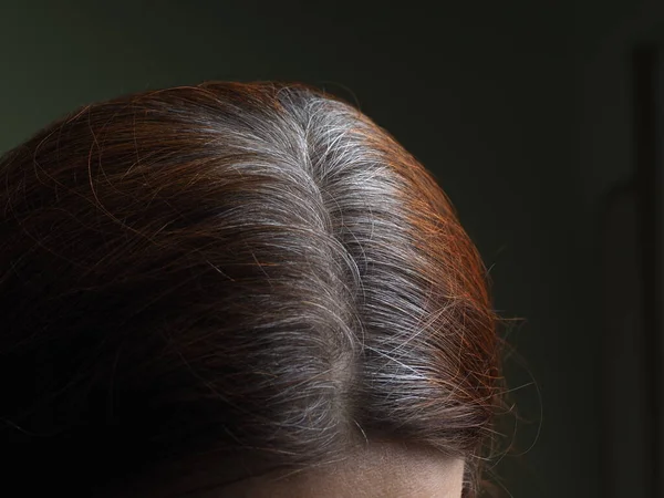 Tête Une Femme Aux Cheveux Gris Teints Henné — Photo