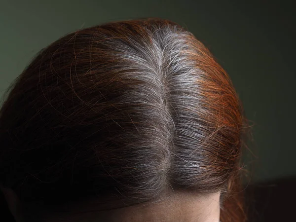 Hlava Ženy Šedými Vlasy Obarvenými Henna — Stock fotografie