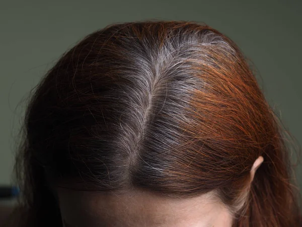 Cabeça Uma Mulher Com Cabelo Grisalho Tingido Com Henna — Fotografia de Stock