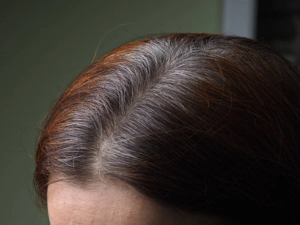 Tête Une Femme Aux Cheveux Gris Teints Henné — Photo