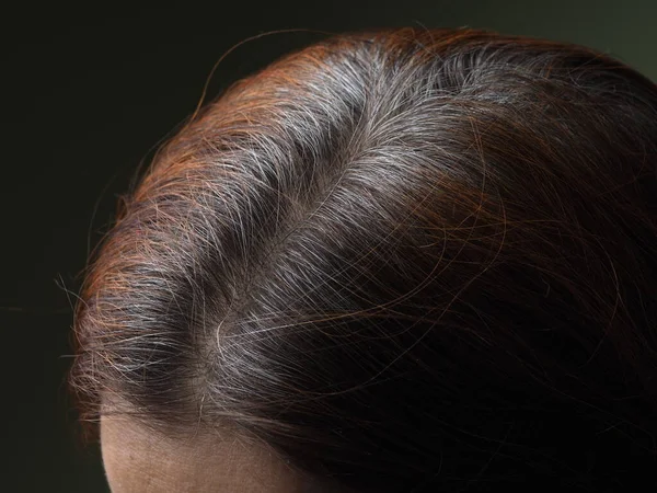 Head Woman Gray Hair Dyed Henna — Stock Photo, Image