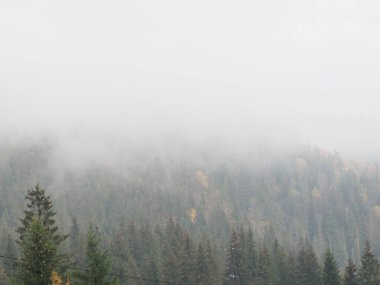 Dağ ormanında sonbahar sisi