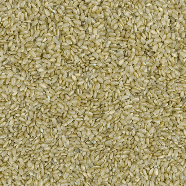 texture of unpolished rice close up