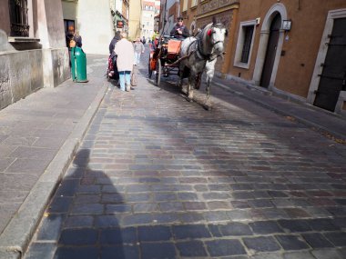 Varşova Eski Kasabası 'nda parlayan yaz güneşinde insanlar ve at arabasıyla parke taşı sokak manzarası.