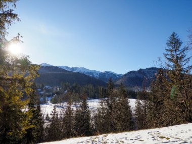 Parlak kış güneşi uzaktaki dağları ve ormanı olan karlı bir tarlaya yansıyor..