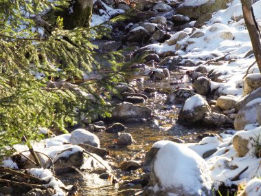 Karlı kayalar ve ormanlar arasında akan küçük bir dereyi aydınlatan güneş ışığı.