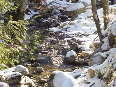 Kristal berrak suyu kapat. Kış ormanlarında kayaların ve karın içinden aksın.