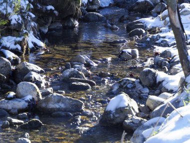 Donmuş bir derenin üzerindeki mavi gölgeler berrak su ve karlı kıyılar.