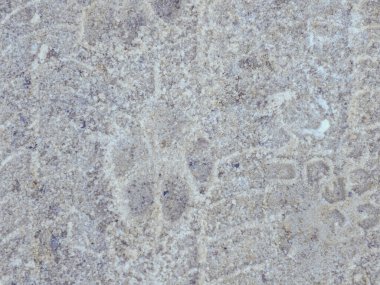 Doğal desenleri ve benekleri olan gri granit taş bir yüzey.