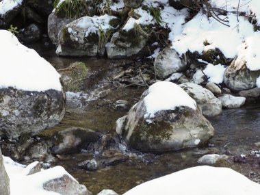 View of a small river flowing through large snow covered stones in winter forest.
