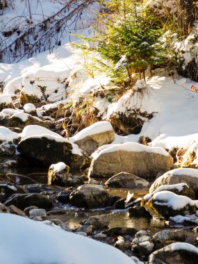 Güneş ışınları bir kış ormanında karlı bir yamaca ve kayalık bir dereye çarpıyor..