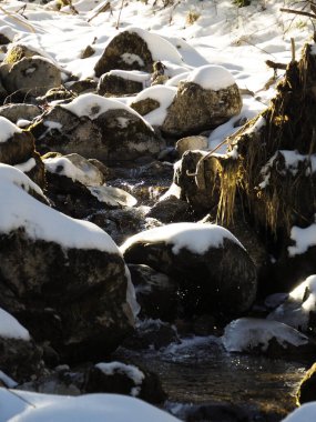 Güneşli bir kış ormanında, karla kaplı büyük kayalar arasında akan küçük bir dağ deresinin yakınında..