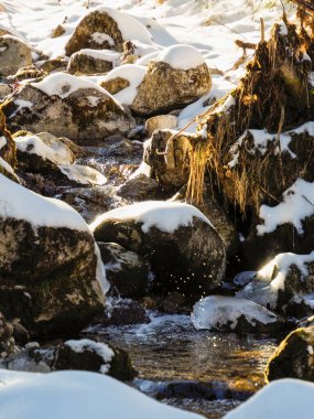 Vertical view of sunlit water rushing through mossy rocks and white snow in winter mountains.