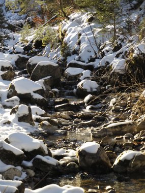 Vertical perspective of a mountain stream winding through snowy banks in a sun-drenched forest.