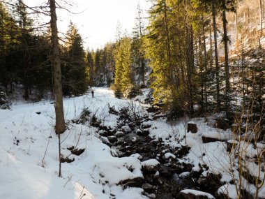 Yumuşak güneş ışığı altında kayalık bir dağ nehir vadisinin geniş kış manzarası.