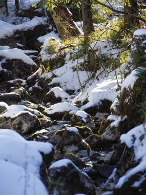 Vertical shot of a small mountain stream flowing through frozen rocks and snow