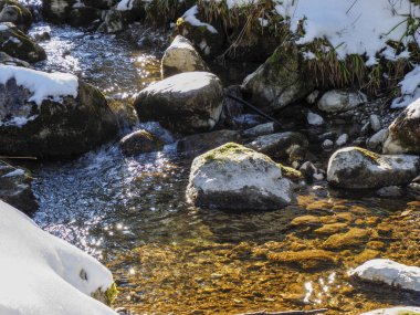 Close up of crystal clear water flowing over pebbles in mountain stream