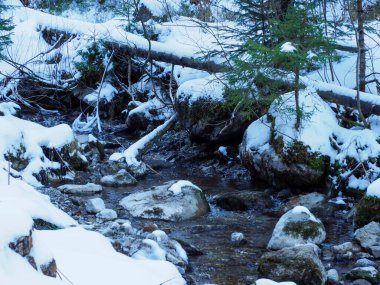 Taze beyaz karla kaplı küçük bir dağ nehrinin üzerine devrilmiş ağaç gövdesi.