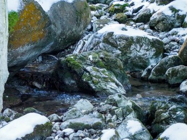 Kış manzarasında yosunlu kayalar ve kayalar arasında akan dağ deresi