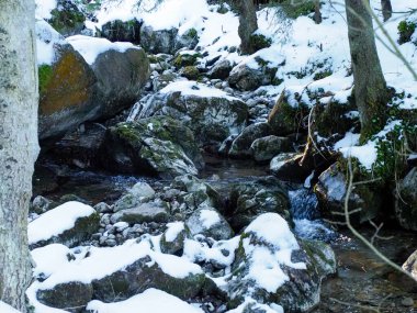 Kış ormanlarında karlı kayalık bir dağ deresinin geniş açılı manzarası