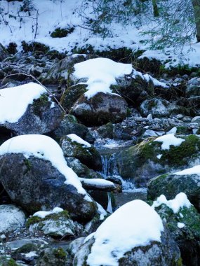 Ormanın derinliklerinde karlı kayalar olan bir dağ nehrinin manzarası.