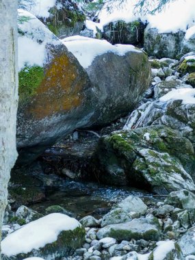 Taze beyaz karla kaplı yosunlu kayaların arasından akan soğuk dağ akıntısı