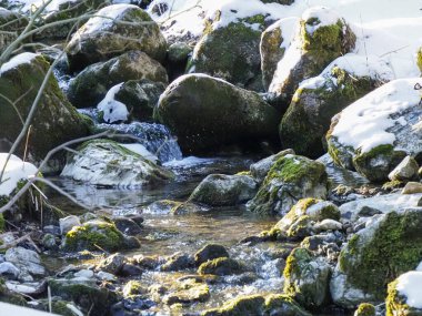 Güneşli bir kış gününde beyaz karla kaplı yosunlu kayaların arasından akan parlak dağ deresi.