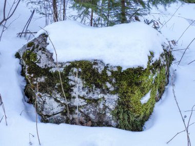 Parlak kış güneşi, karlı bir vadide, karanlık dağ yamacının ardında yükseliyor.
