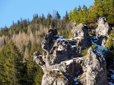 Açık mavi gökyüzüne karşı bir dağ yamacında keskin kayalık oluşum