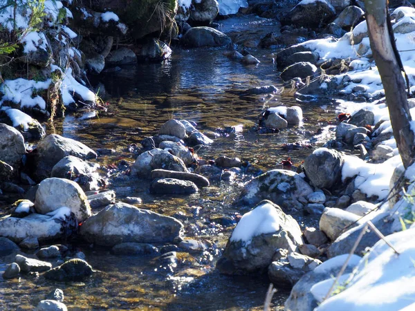 Donmuş bir derenin üzerindeki mavi gölgeler berrak su ve karlı kıyılar.
