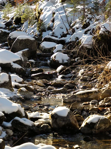 Güneş ışınlarının su yüzeyine yansıdığı kayalık bir derenin parlak kış manzarası.