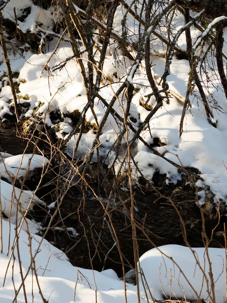 Karlı kayalar ve kuru dallar arasında akan bir dağ deresinin dikey ayrıntıları.
