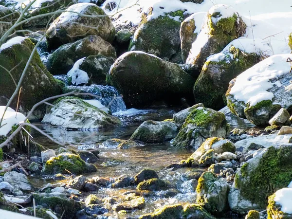 Güneşli bir kış gününde beyaz karla kaplı yosunlu kayaların arasından akan parlak dağ deresi.