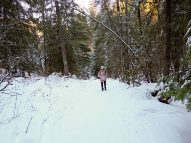 Yalnız yürüyüşçü kışın karlı bir orman patikasında yürüyor.