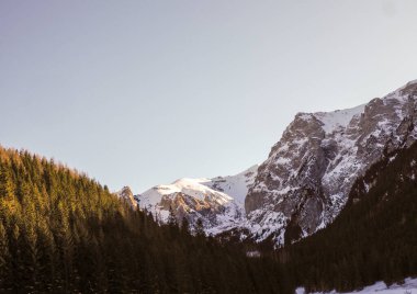 Güneşli dağ yamaçlarının geniş panoramik manzarası ve yoğun kış ormanı
