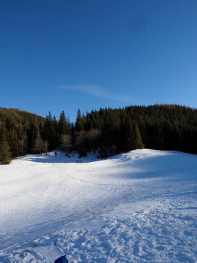 Dağ vadisindeki boş kar tarlası açık mavi bir kış gökyüzünün altında karanlık bir ormana çıkıyor..