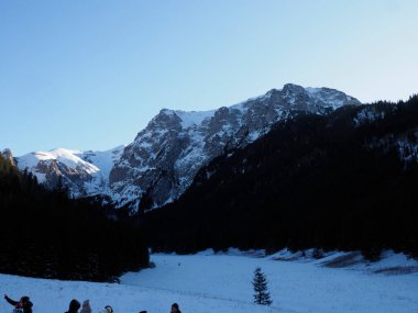 Karla kaplı yüksek karlı dağların görkemli panoramik manzarası karanlık bir orman ve karlı bir vadi üzerinde yükseliyor..