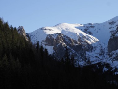Koyu yeşil çam ormanları ve parlak karlı dağ zirveleri arasındaki zıtlık berrak gökyüzünün altında.