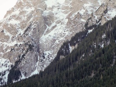 Kış boyunca çam ağaçları ve hafif karla kaplı dik bir dağ yamacına yakın..