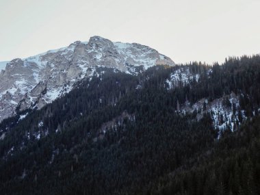 Kışın ortasında yoğun bir kozalaklı ormanın üzerinde yükselen kayalık bir dağın geniş görüntüsü..