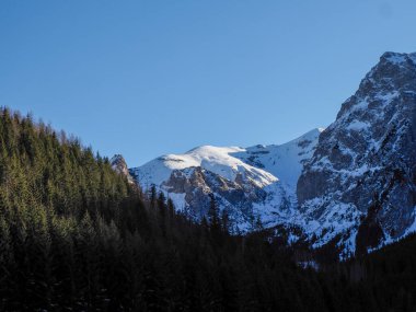 Koyu yeşil çam tepeleriyle görkemli karlı dağlar arasında dar bir vadinin manzarası..