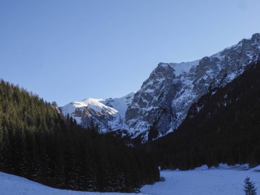 Muazzam dağ tepeleri ve koyu yeşil çam ormanlarıyla çevrili engin karlı vadi..