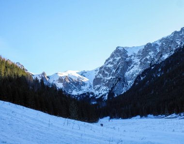 Koyu yeşil çam ormanı yamaçlarıyla karlı bir dağ vadisi manzarası.