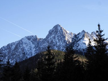 Keskin karlı dağ zirveleri, kış öğleden sonra güneşinde karanlık bir kozalaklı ormanın üzerinde yükseliyor..