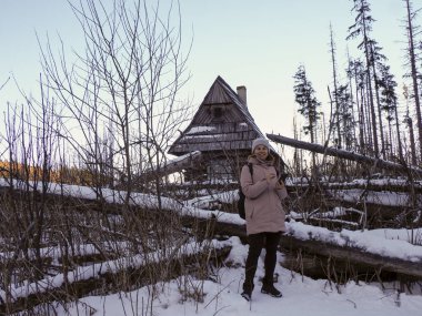 Geleneksel ahşap bir dağ kulübesinin önünde dururken akıllı telefonu kontrol eden bir kadın..