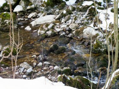 Çakıl taşları ve yosunlu taşların üzerinden akan küçük dağ deresi ormandaki beyaz kış karlarıyla çevrili.