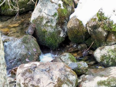 Kışın bir orman deresinde büyük yosun kaplı taşlar arasında akan suyun yakın görüntüsü.