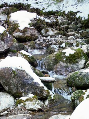 Dağ deresi, karla kaplı yosunlu kayaların üzerine dökülen temiz suyla.